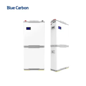 BATTERIE SOLAIRE LIYHIUM BLUE CARBON SMART-BCT 48V 15KWH